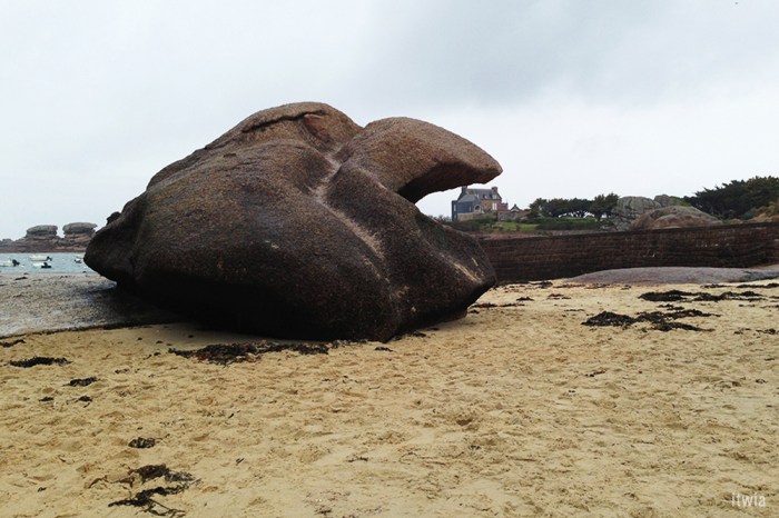 itwia_france_bretagne_agapa4