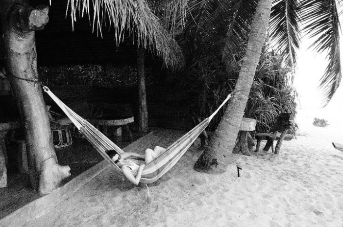 58380_468391235725_204271_n