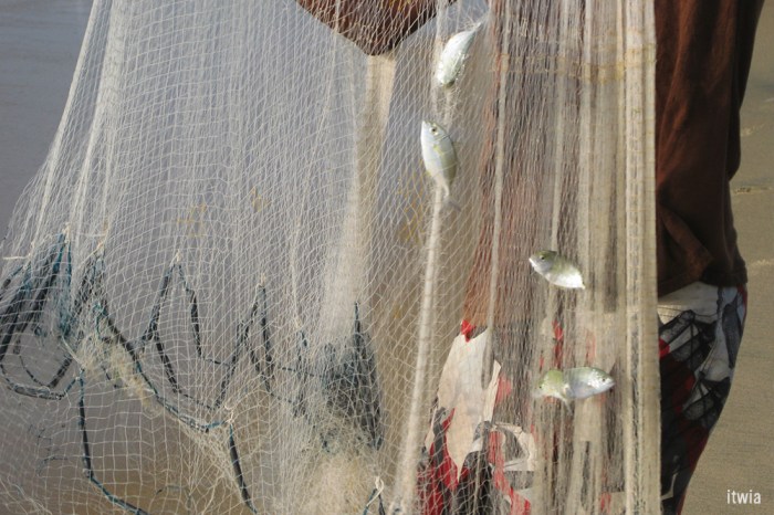 itwia_srilanka_arugambay3