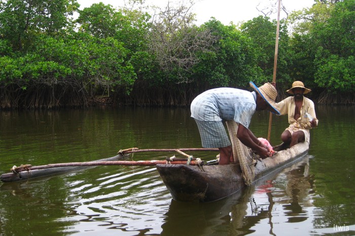 itwia_srilanka_arugambay6