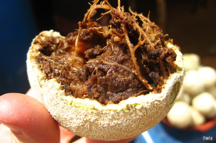 itwia_srilanka_fruit1