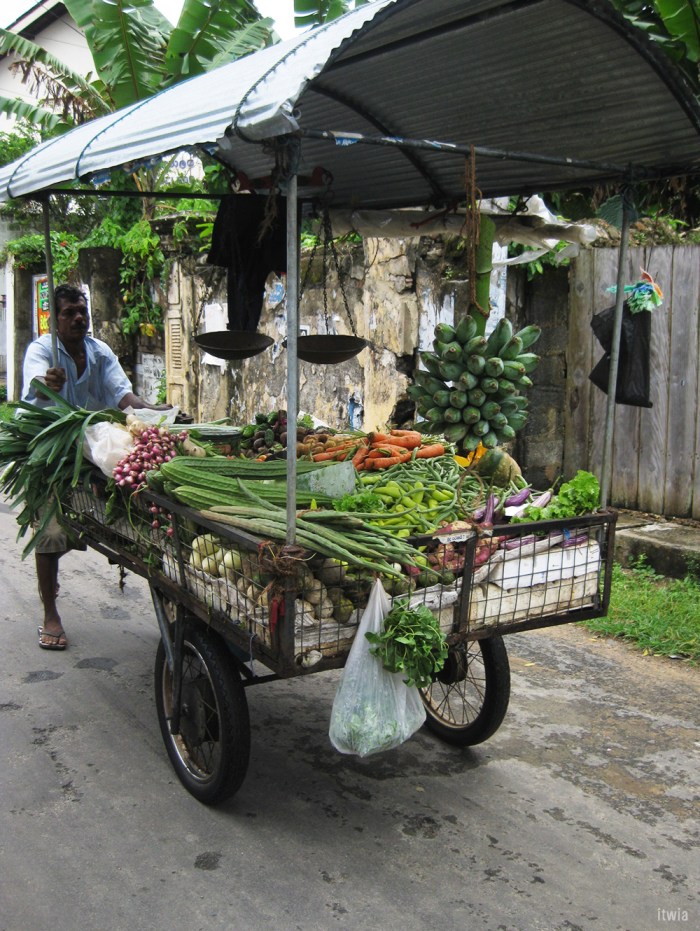 itwia_srilanka_galle4