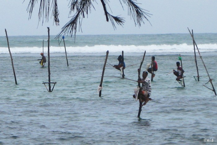 itwia_srilanka_matara5