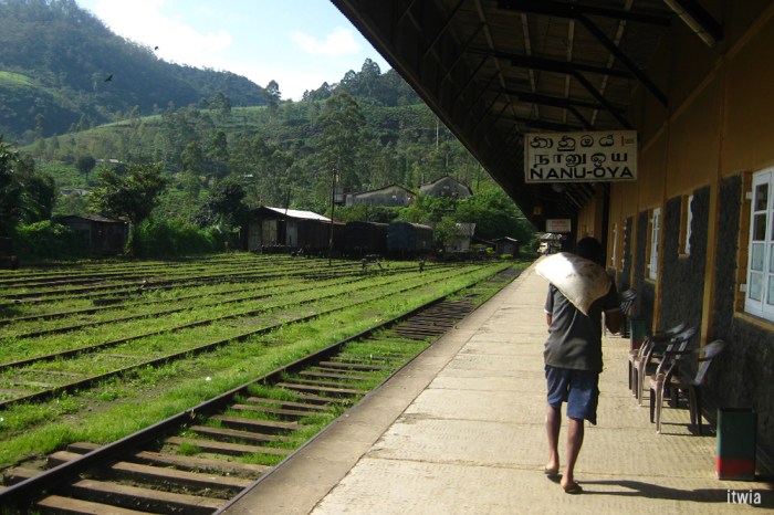 itwia_srilanka_nuwaraelia2