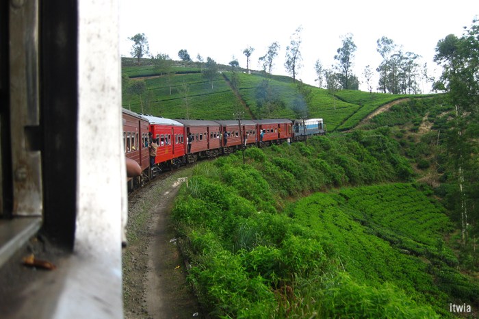 itwia_srilanka_nuwaraelia8