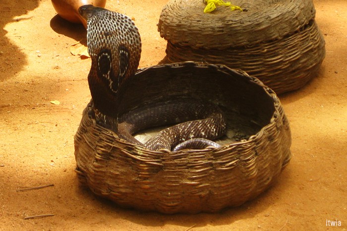 itwia_srilanka_sigirya5