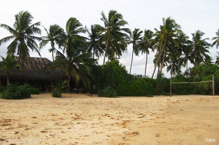 itwia_srilanka_tangalle3