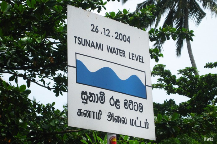 itwia_srilanka_tangalle5