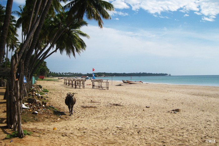 itwia_srilanka_trincolmalee3