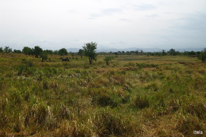 itwia_srilanka_uluwalare3