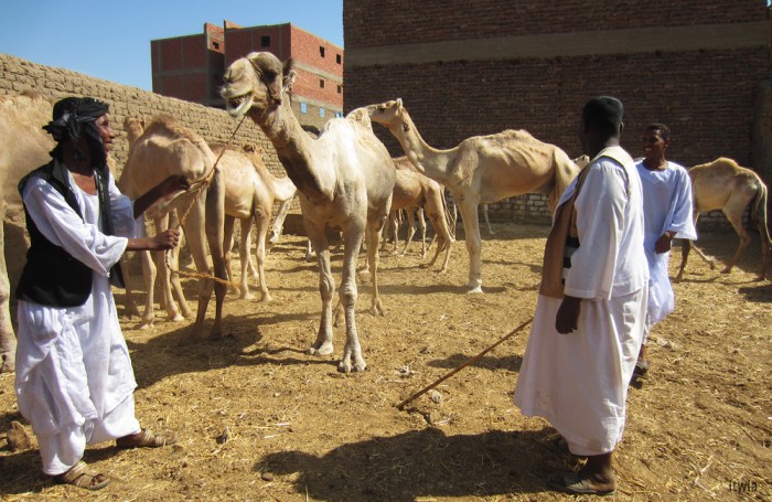 itwia_egypte_komombo2_1000x650