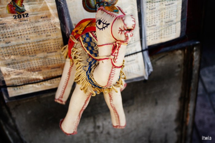 itwia_egypte_lecaire18