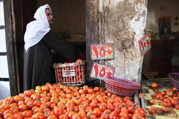 itwia_egypte_lecaire4