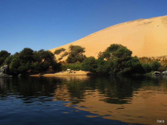 itwia_egypte_nubie30
