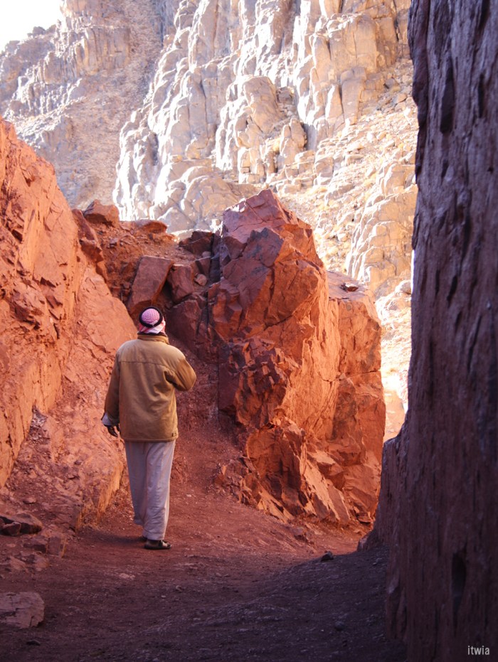 itwia_egypte_sinai11