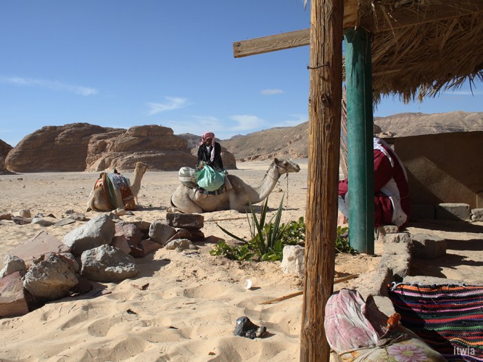 itwia_egypte_sinia1