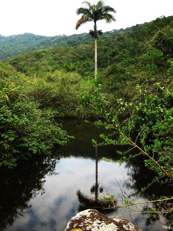 itwia_bresil_ilhagrande5