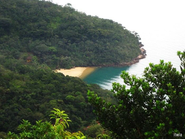 itwia_bresil_ilhagrande6