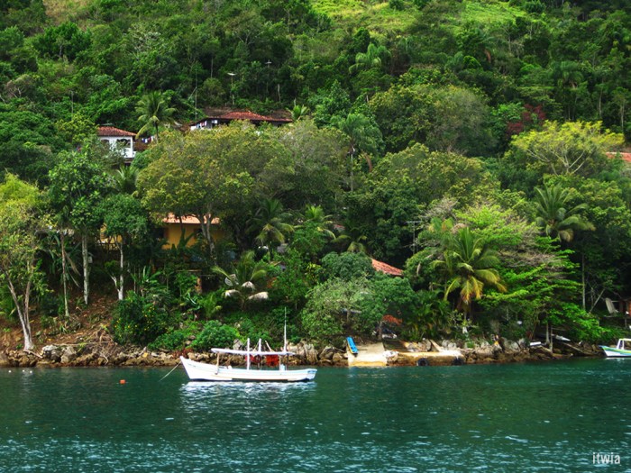 itwia_bresil_parati11