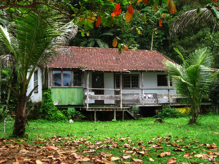 itwia_bresil_parati15