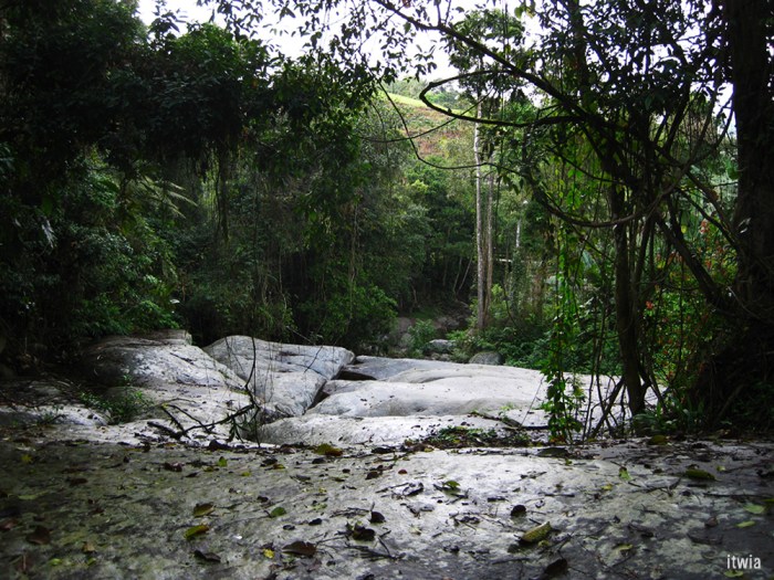 itwia_bresil_parati2