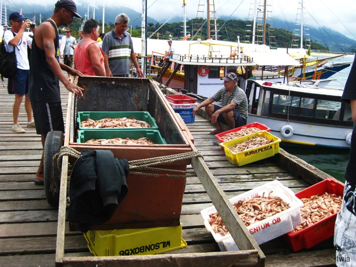 itwia_bresil_parati6