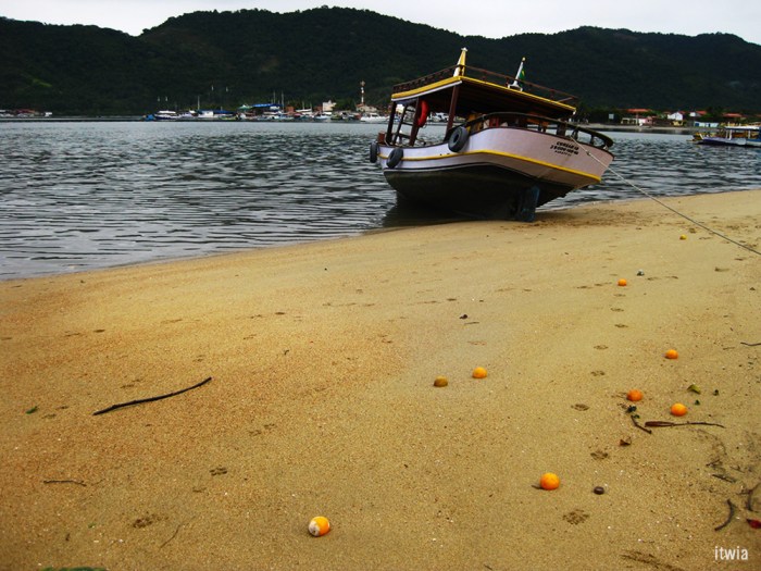 itwia_bresil_parati9