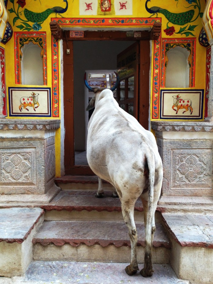 itwia_rajasthan_bundi13