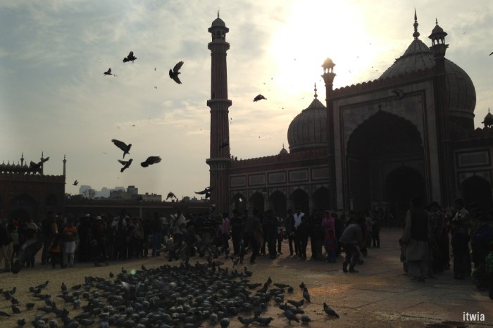 itwia_rajasthan_delhi3