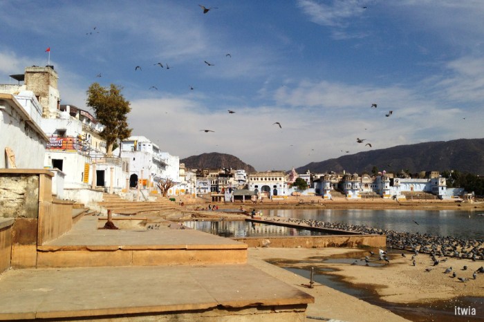 itwia_rajasthan_pushkar2