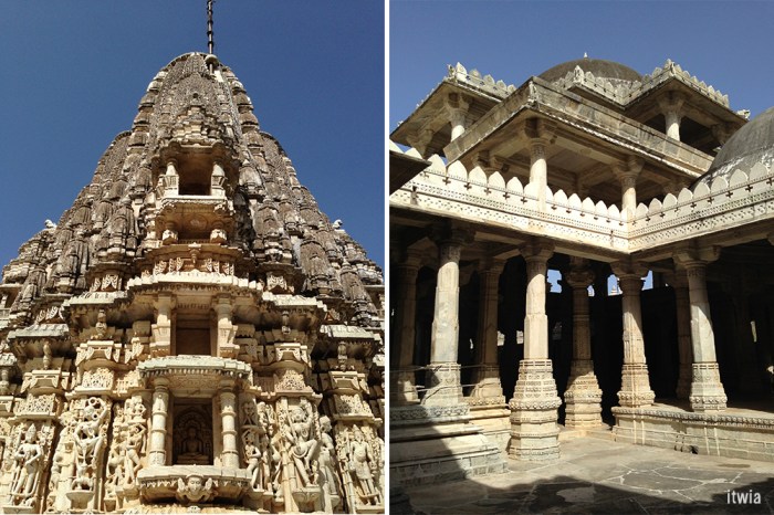 itwia_rajasthan_ranakpur7