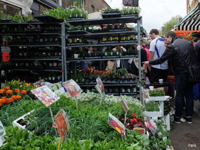 itwia_london_hackney3