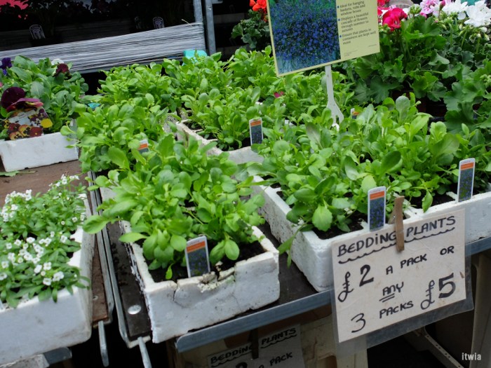 itwia_london_hackney4