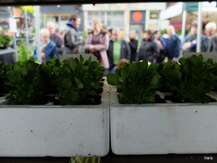 itwia_london_hackney5