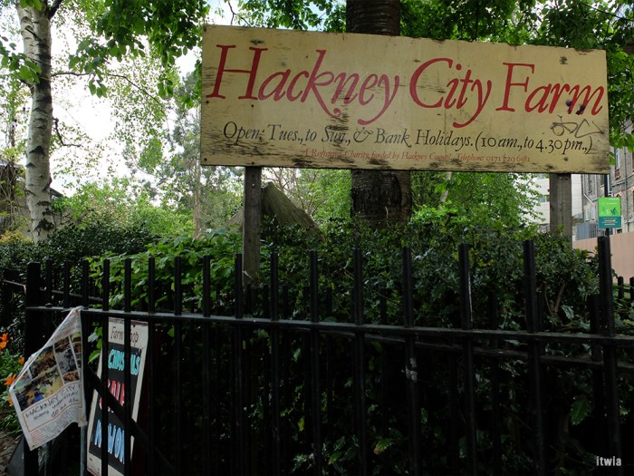 itwia_london_hackney7