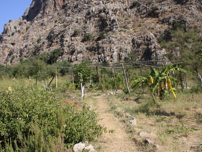 itwia_turquie_goelette15