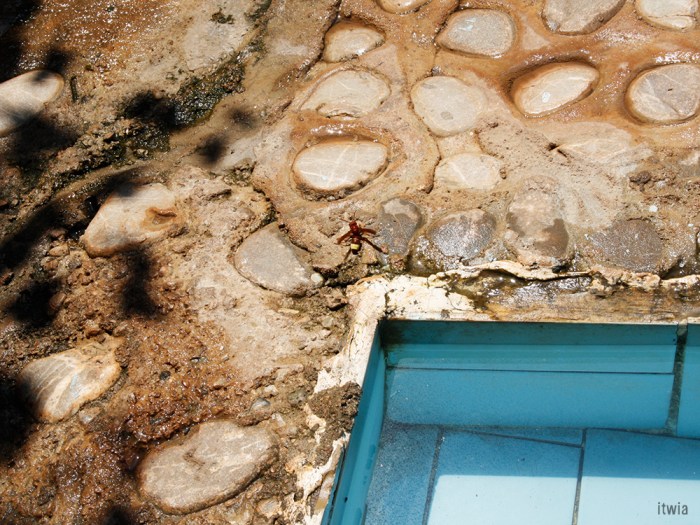 itwia_turquie_kabak9