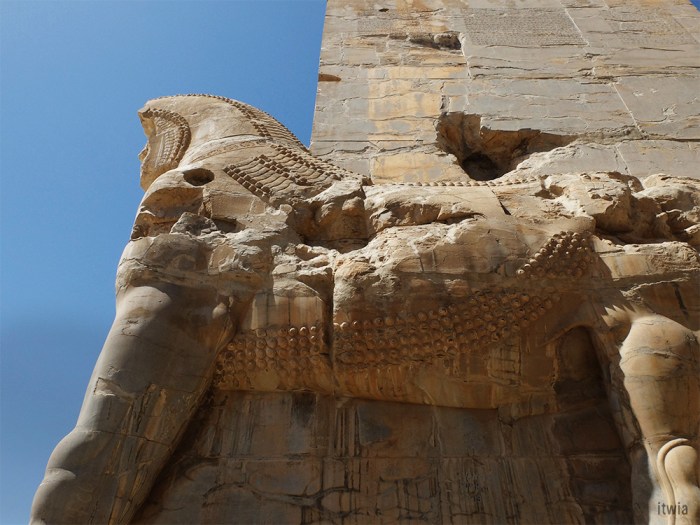 itwia_iran_persepolis15