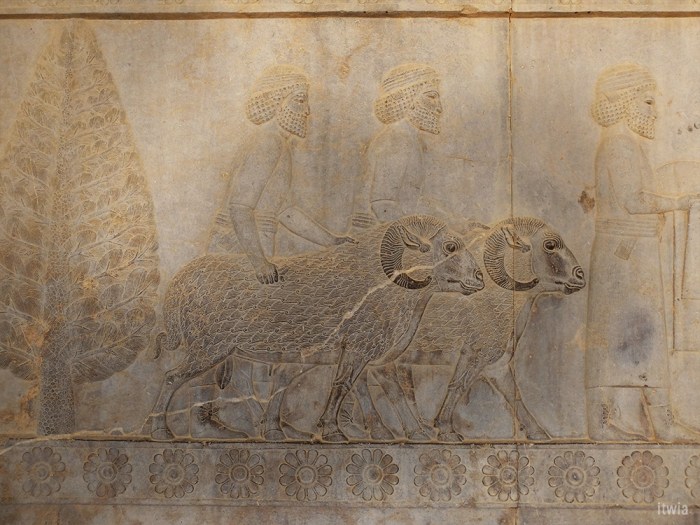 itwia_iran_persepolis9