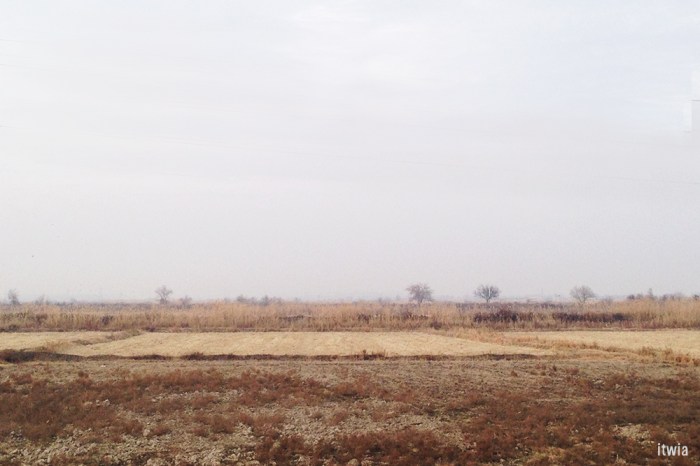 itwia_ouzbek_road2