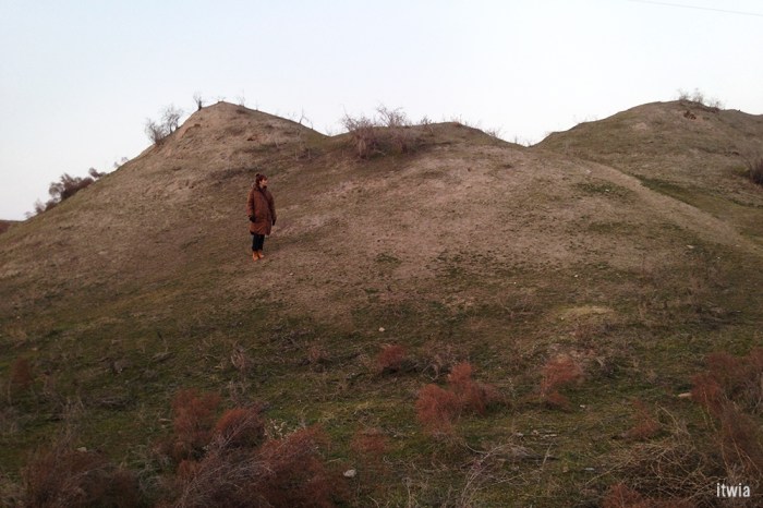 itwia_ouzbek_samarkand57