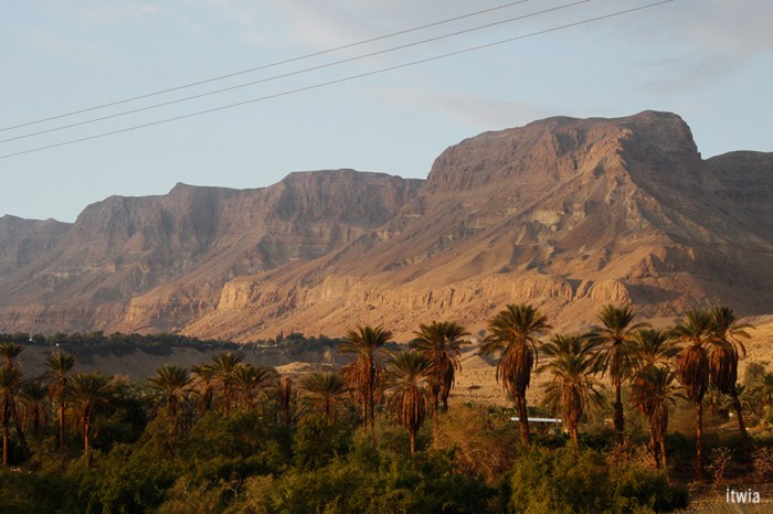 itwia_israel_eingedi1