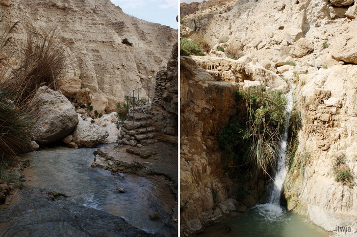 itwia_israel_eingedi12