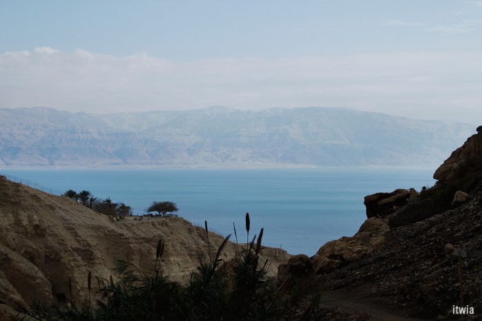 itwia_israel_eingedi14