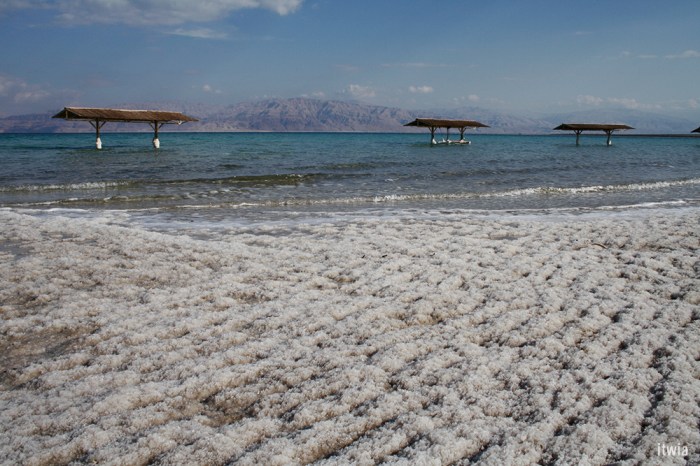 itwia_israel_eingedi20