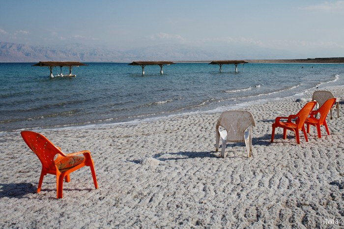 itwia_israel_eingedi24