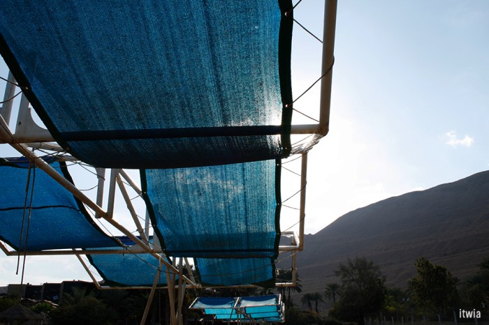 itwia_israel_eingedi25