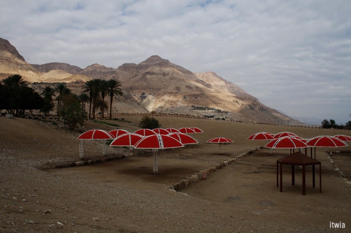 itwia_israel_eingedi4