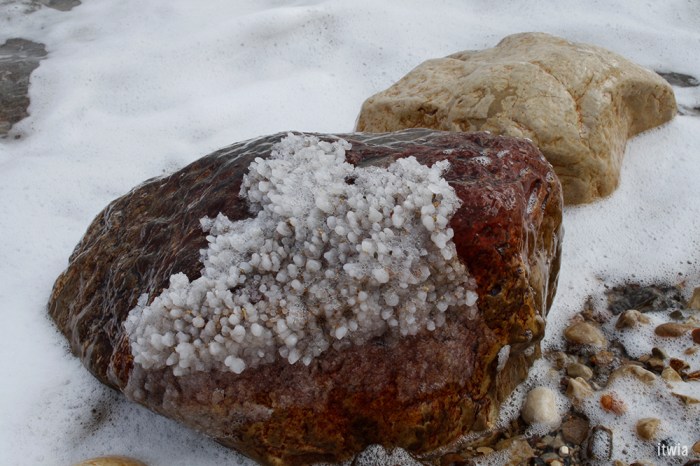 itwia_israel_eingedi5