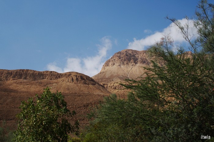 itwia_israel_eingedi7